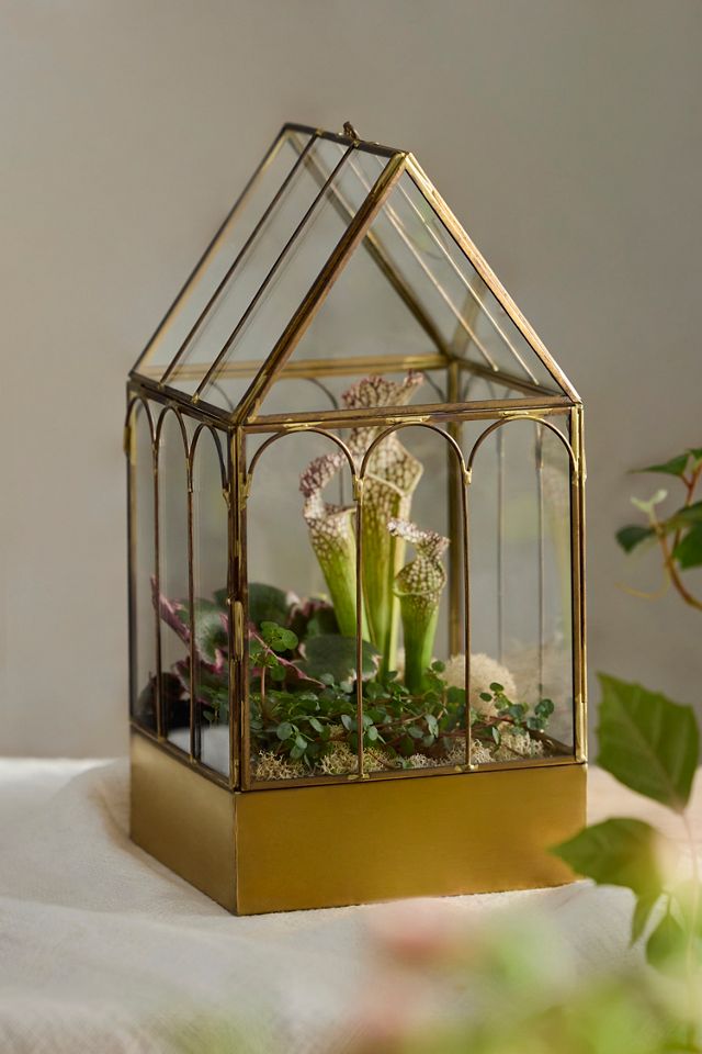 Brass Greenhouse Terrarium #2