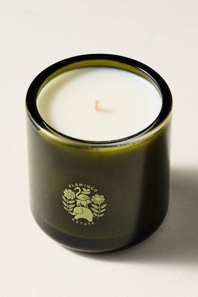 Flamingo Estate Fresh Tuscan Rosemary Boxed Glass Candle #2
