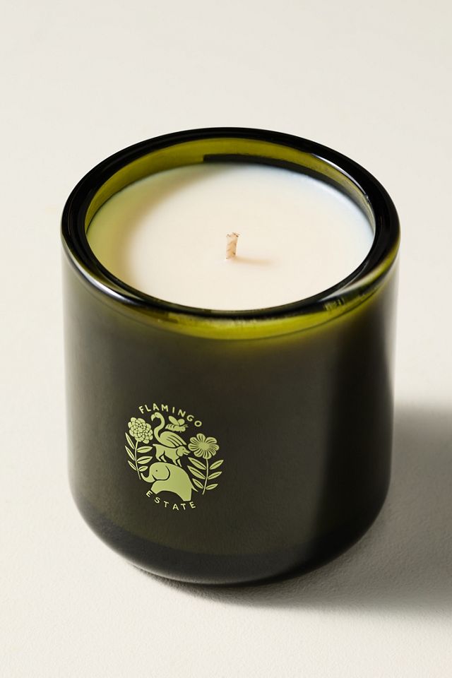 Flamingo Estate Fresh Heirloom Tomato Boxed Glass Candle #2