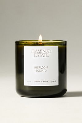 Flamingo Estate Fresh Heirloom Tomato Boxed Glass Candle