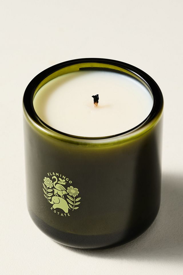 Flamingo Estate Fresh Agrigento Olive Tree Boxed Glass Candle #2
