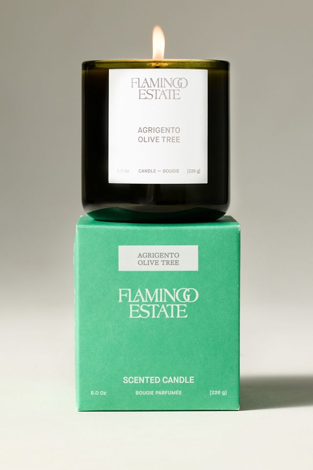 Flamingo Estate Fresh Agrigento Olive Tree Boxed Glass Candle #3