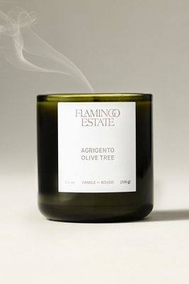 Flamingo Estate Fresh Agrigento Olive Tree Boxed Glass Candle