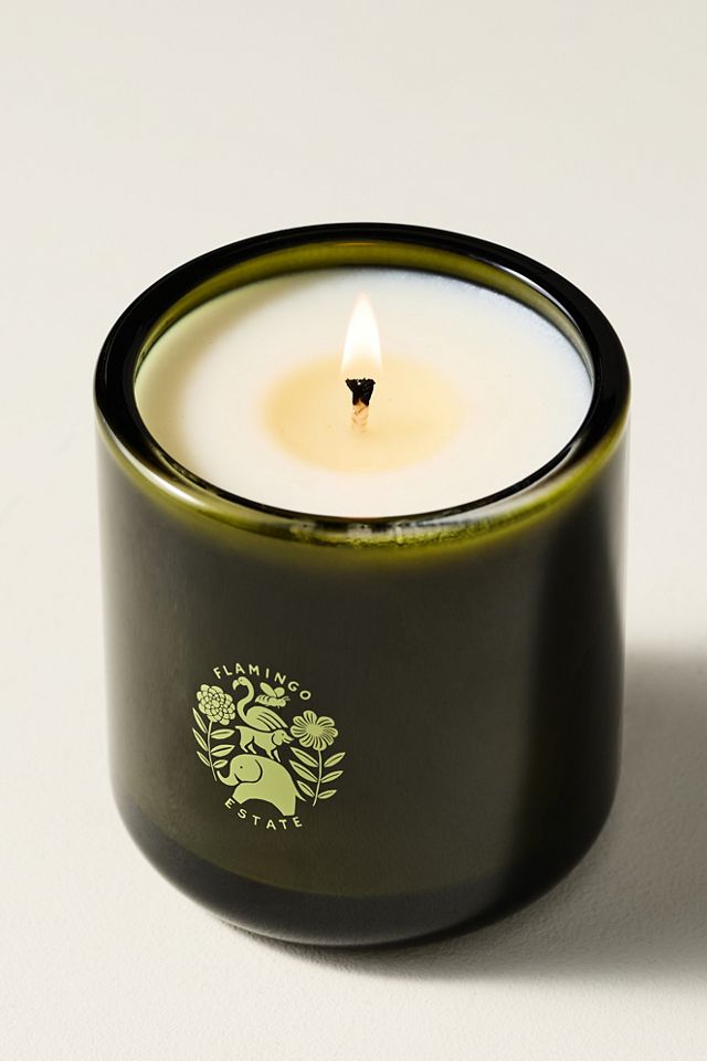 Flamingo Estate Fruity Sappho Fig Boxed Glass Candle #2