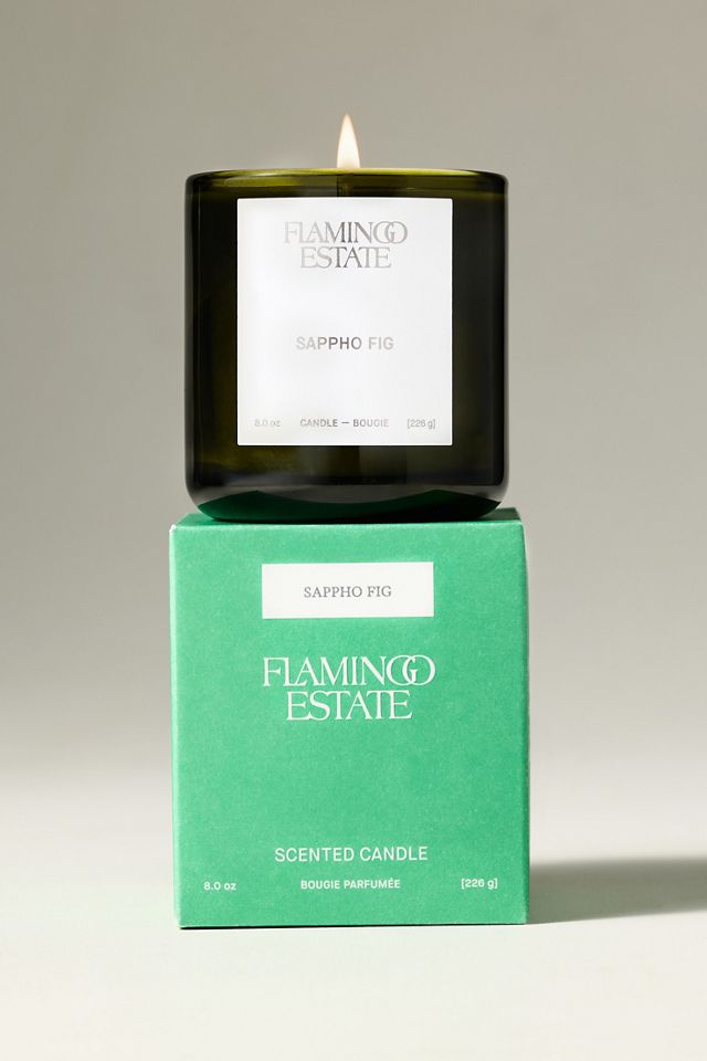 Flamingo Estate Fruity Sappho Fig Boxed Glass Candle #3