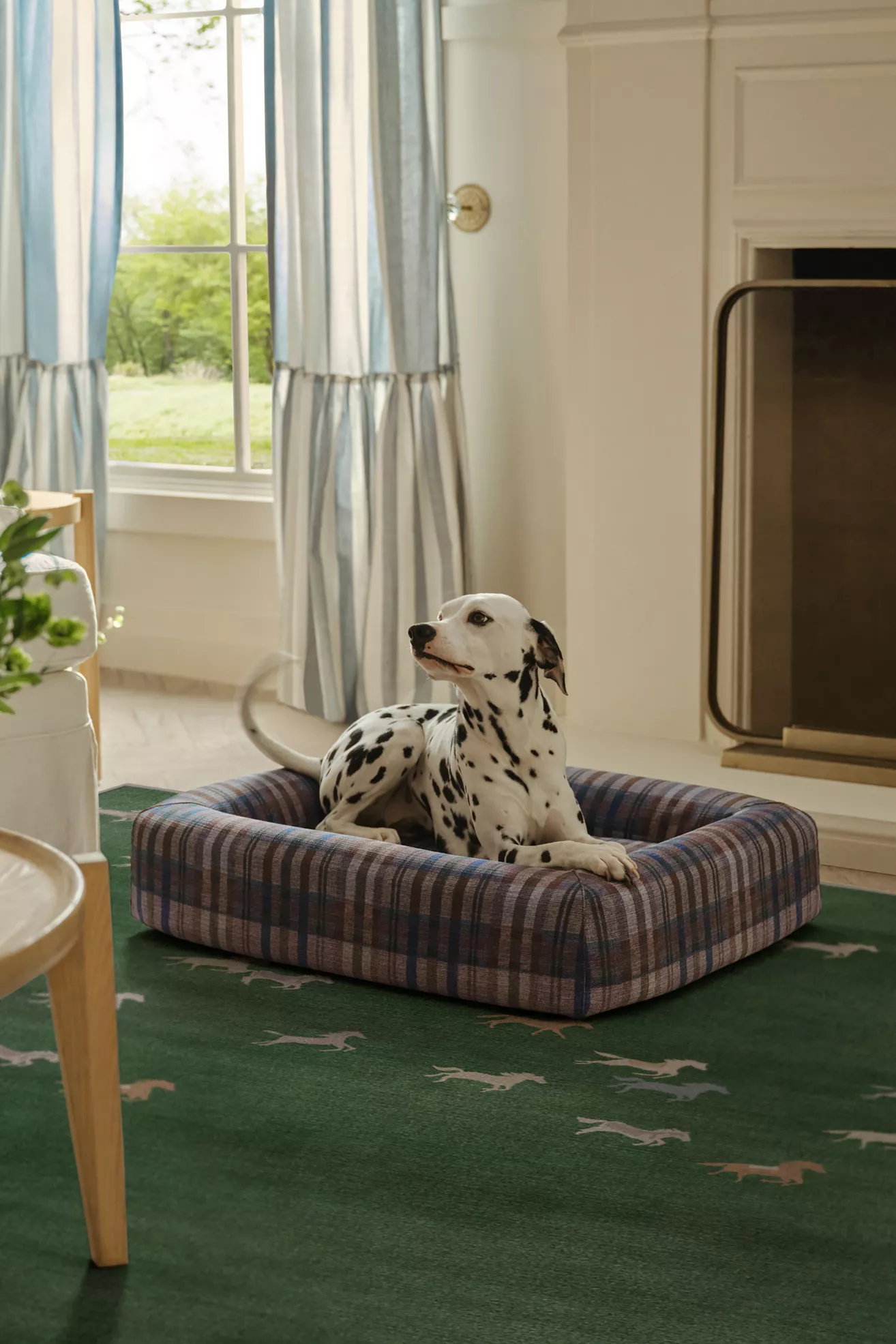 Ruggable Washable Pet Bed - thumbnail 5