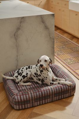 Ruggable Washable Pet Bed