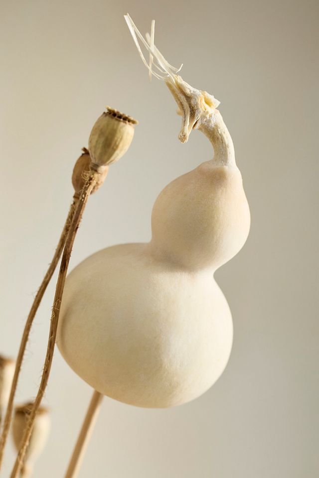 Dried Gourd Pick Bunch #1