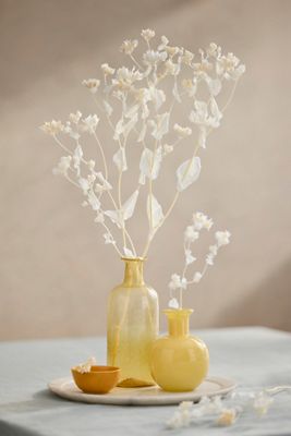 Preserved Bleached Bupleurum Bunch