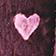 Chocolate Plum Hearts