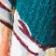Peacock Feather