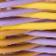 Yellow Pattern