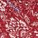 Red Pattern