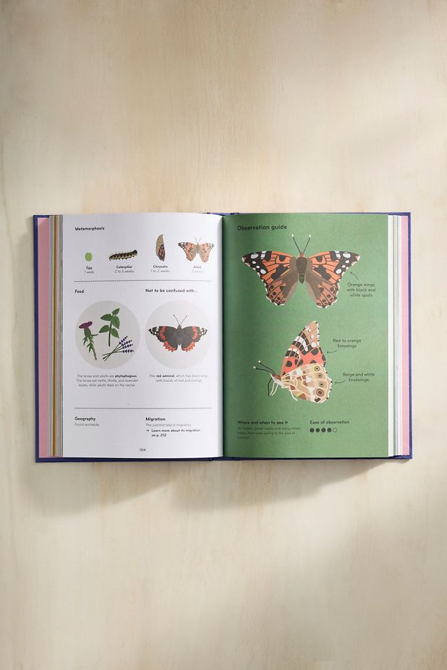 Insectorama #1