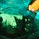 Emerald Green