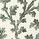 Green Pattern