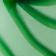 Green Stripe