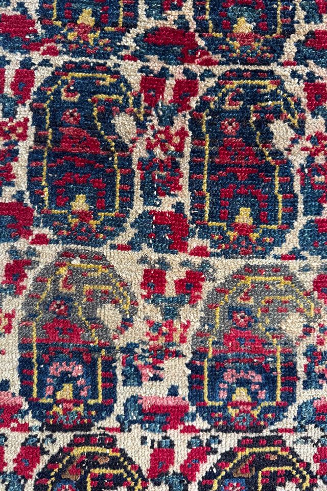 Blue Parakeet Rugs Antique Persian Rug No. 3479 #3
