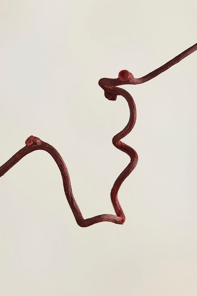 Dried Kiwi Vine Bunch #1