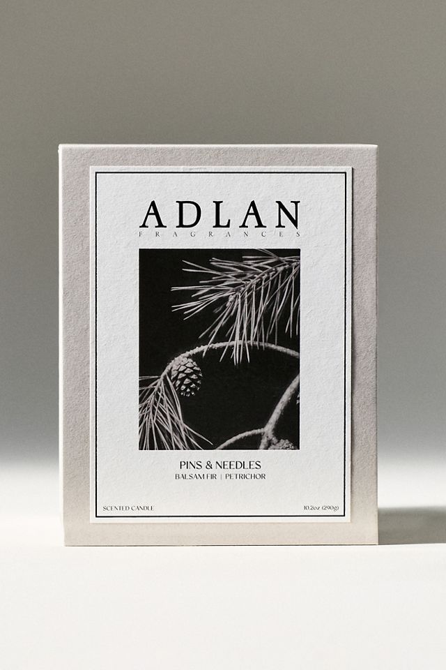 Adlan Fragrances Woody Pins & Needles Graphite Stone Candle #2
