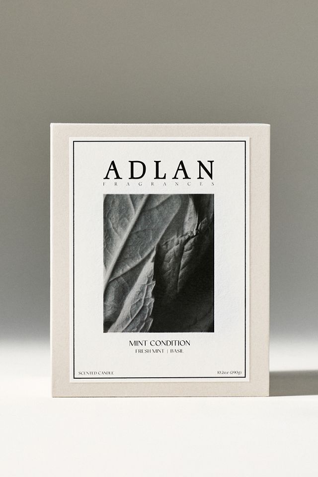 Adlan Fragrances Fresh Mint Condition Graphite Stoneware Candle #2