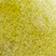 Chartreuse