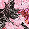 Pink Floral