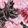 Pink Floral