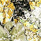 Yellow Floral