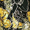 Yellow Floral