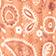 Brown Paisley Print