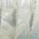 Clear