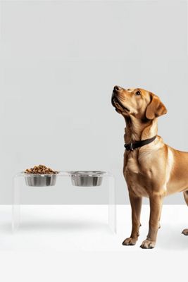 Hiddin Double Elevated Feeder with Bowls