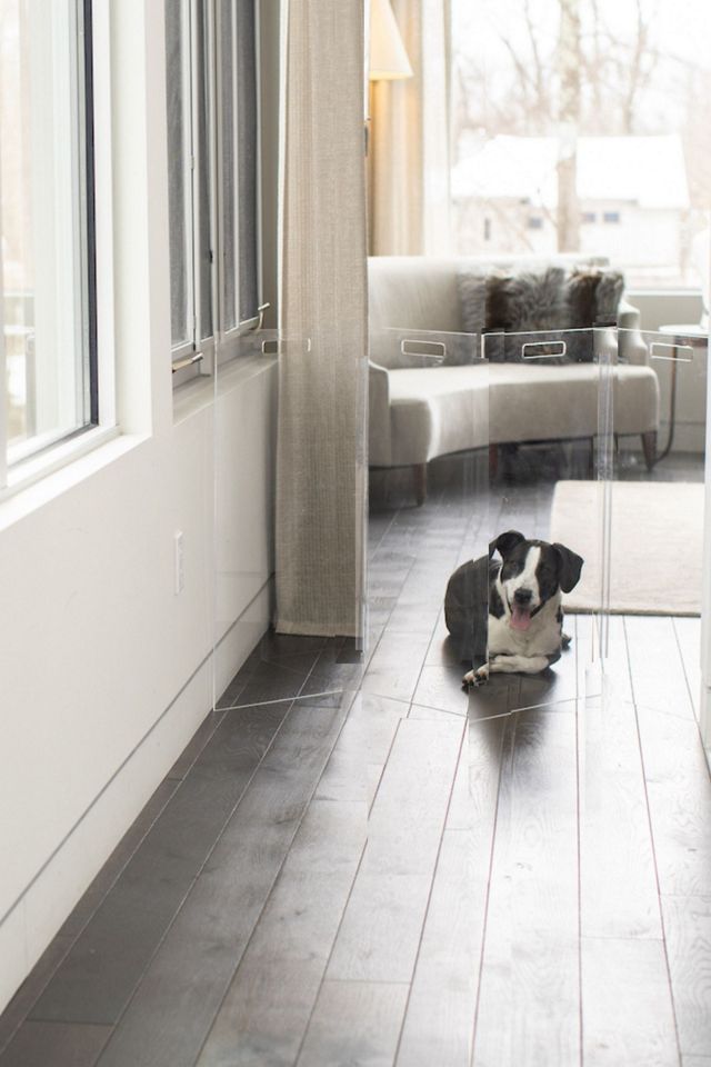 Hiddin Clear Freestanding Gate Zigzag Dog Panel #3