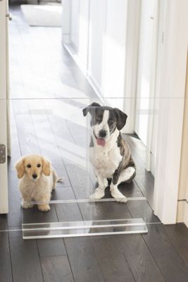 Hiddin Clear Freestanding Gate Zigzag Dog Panel