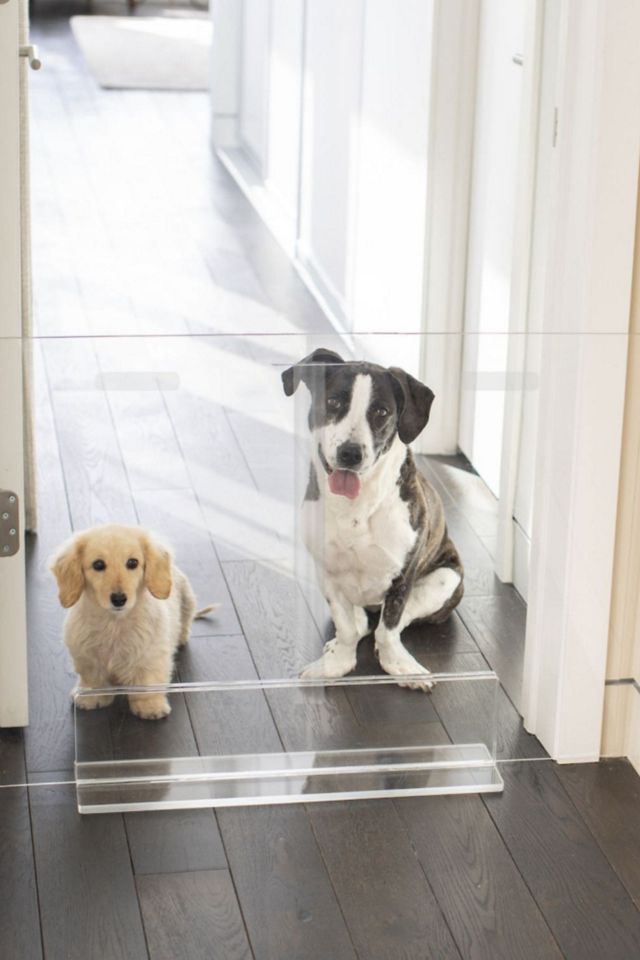 Hiddin Clear Freestanding Gate Zigzag Dog Panel #1