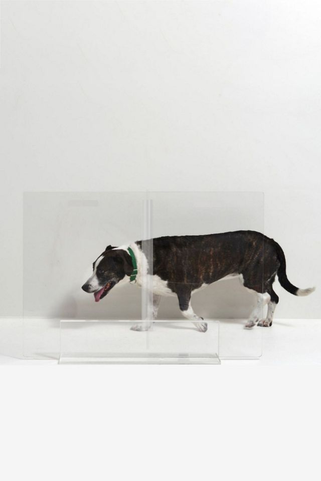 Hiddin Clear Freestanding Gate Zigzag Dog Panel #4