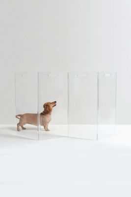Hiddin Clear Freestanding Gate Zigzag Dog Panel