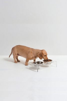 Hiddin Small Clear Double Bowl Pet Feeder