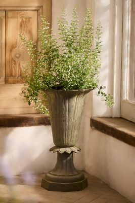 Tulip Cast Iron Urn