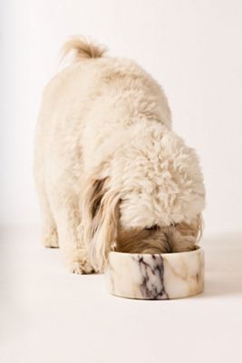 Le Noof Marble Stone Pet Bowl