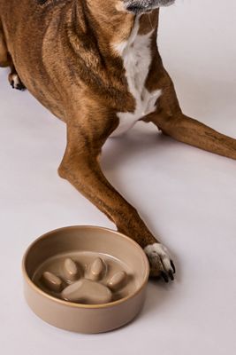 Le Noof Slow Feeder Pet Bowl