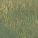 Green Pattern