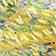 Green Pattern