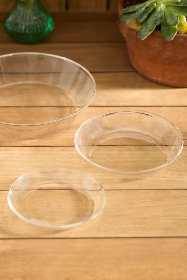Terrain Glass Saucers, Set of 3 #2