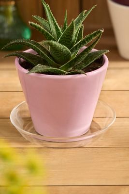 Glass Saucers, Set of 3