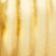 Gold metallic