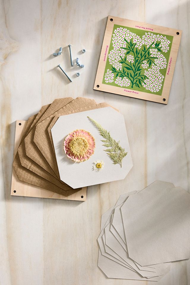 Forget-Me-Not Flower Press #1
