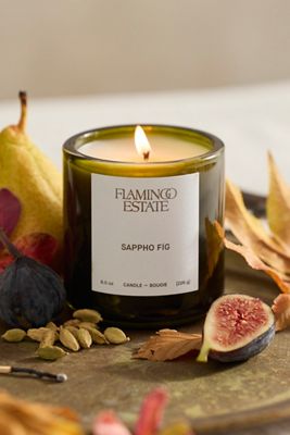 Terrain Flamingo Estate Sappho Fig Candle