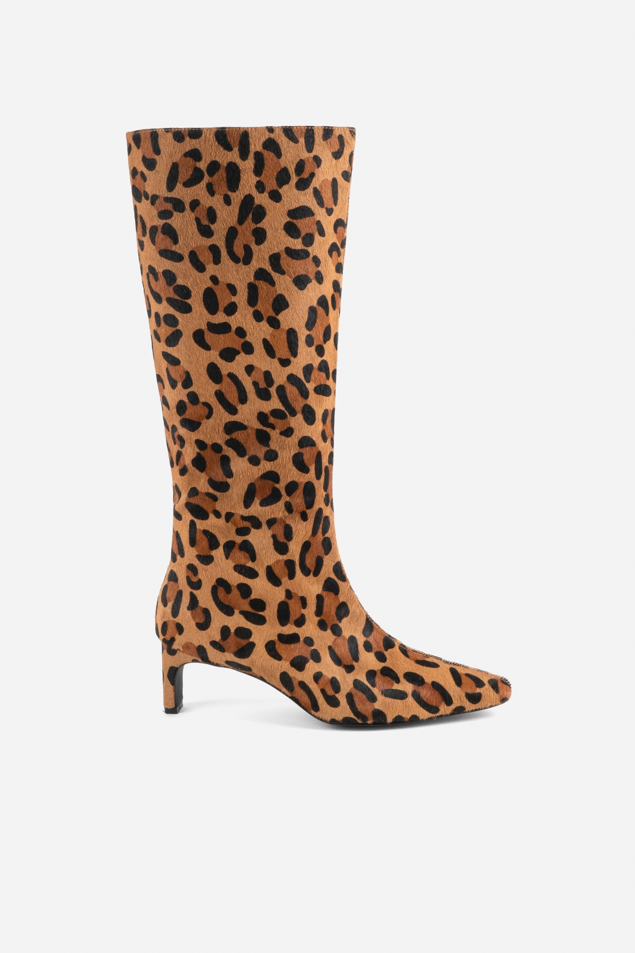Intentionally Blank Seville Tall Pointed-Toe Boots